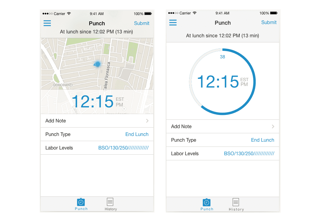 Paylocity Mobile Application Punch-In